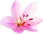 relaxing couples massage Sint Maarten