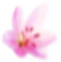 deep tissue massage st maarten